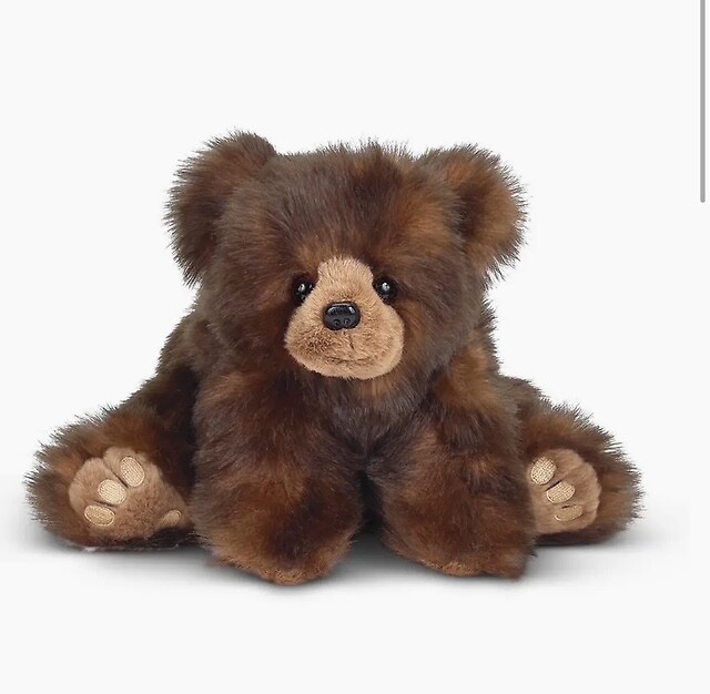 Huggy Ben the Brown Bear