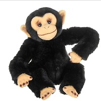 Chico the Chimpanzee