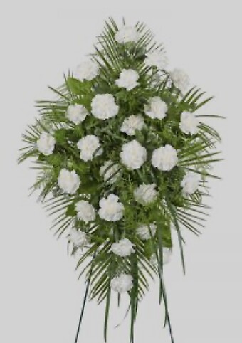 All White Carnation Spray