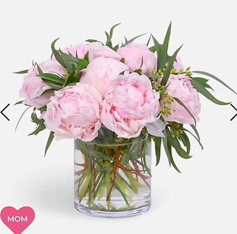 Classy Peony