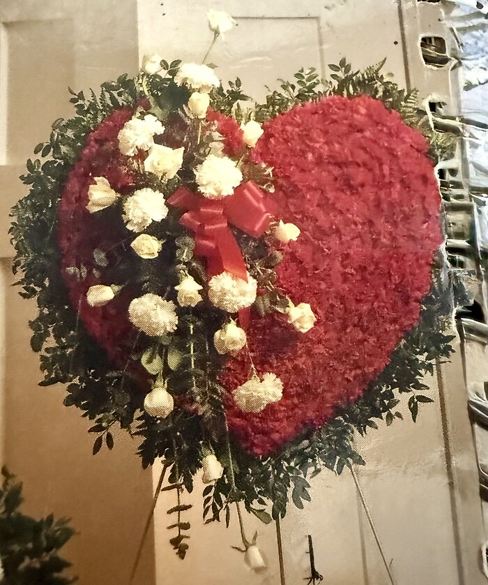 Red Carnation Bleeding Heart