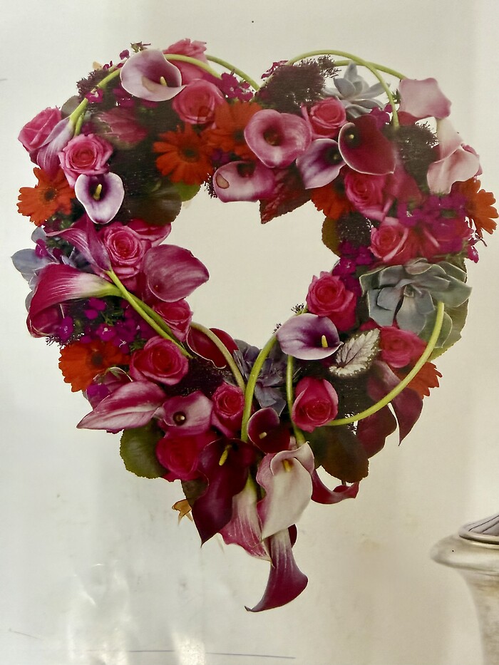 Red Carnation Bleeding Heart